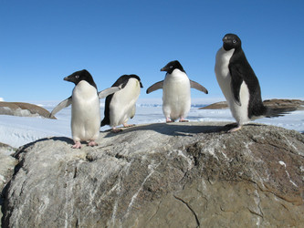 Similar image 21535815