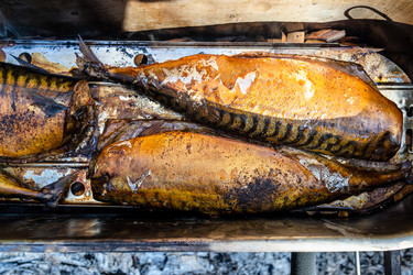 Similar image 21535768