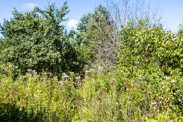 Similar image 21535777