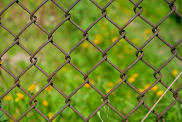 Similar image 21540468