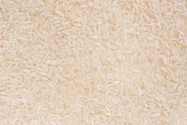 Similar image 21540488