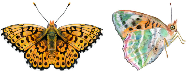 Similar image 21546796