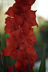 Similar image 21535948