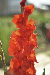 Similar image 21535949