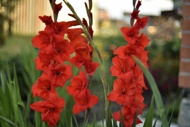 Similar image 21535950