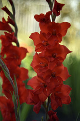 Similar image 21535951