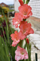 Similar image 21535952