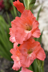 Similar image 21535953