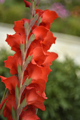 Similar image 21535956