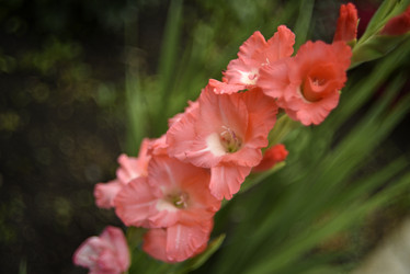 Similar image 21535958