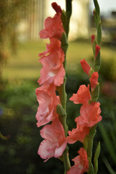 Similar image 21535960