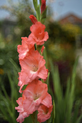 Similar image 21535961