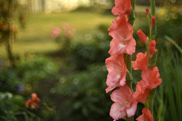 Similar image 21535962