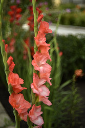 Similar image 21535963