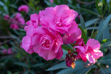 Similar image 21536263