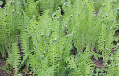 Similar image 21539672