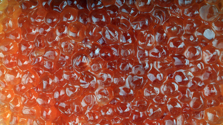 Similar image 21542221