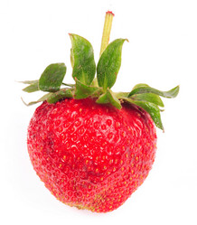 Similar image 21542239