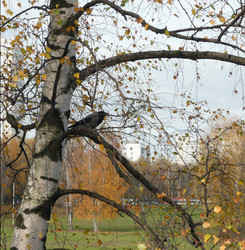 Similar image 21542244