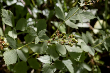 Similar image 21538170