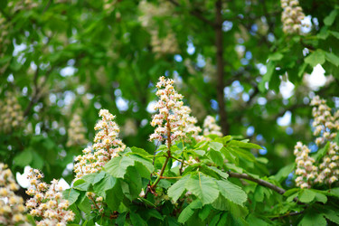 Similar image 21539600