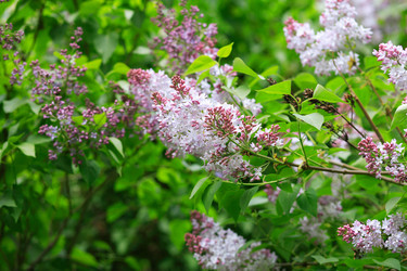 Similar image 21539601