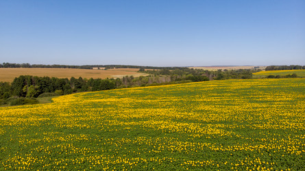 Similar image 21536288