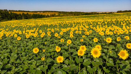 Similar image 21536289