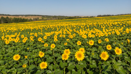 Similar image 21536290