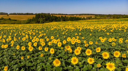 Similar image 21536291