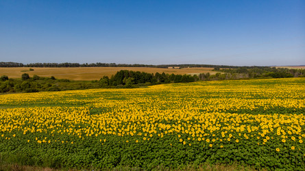 Similar image 21536295