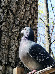 Similar image 21536336