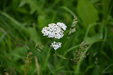 Similar image 21536338