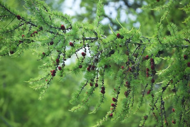 Similar image 21536339