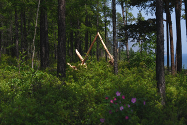 Similar image 21536340