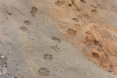 Similar image 21539299