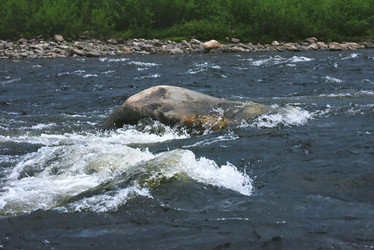 Similar image 21536345