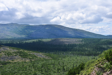 Similar image 21539302