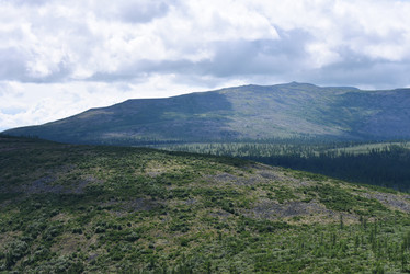 Similar image 21539303