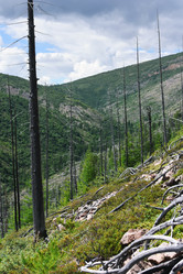 Similar image 21539313