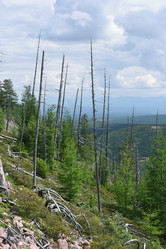 Similar image 21539314