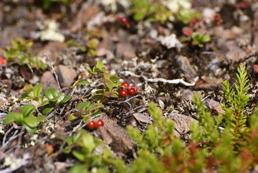 Similar image 21536346