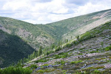 Similar image 21539315