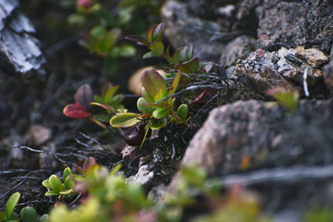 Similar image 21539317