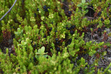 Similar image 21536347