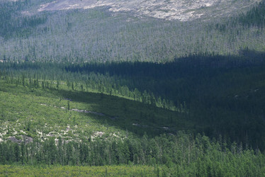 Similar image 21539319