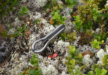 Similar image 21539321