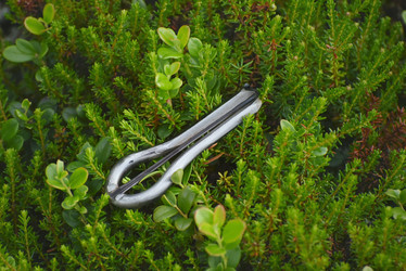 Similar image 21539322