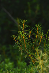 Similar image 21539324