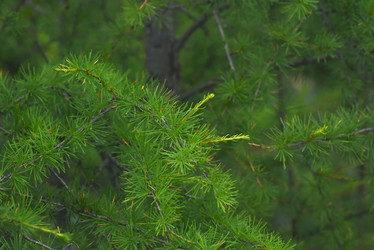 Similar image 21539325